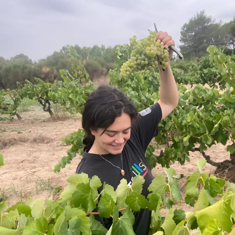 Meet the Winemaker at Lady of the Grapes