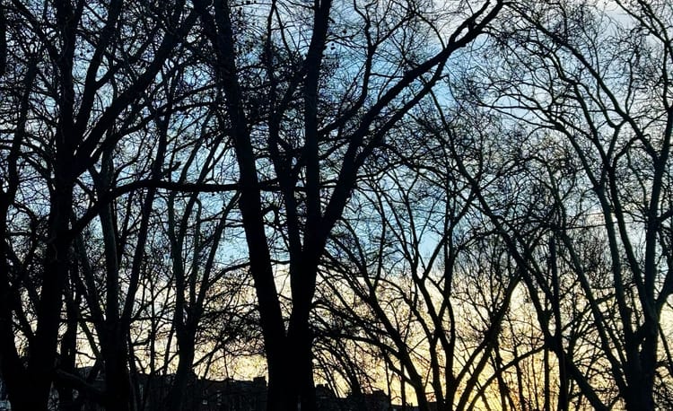 Winter solstice + wrapping up 2025!